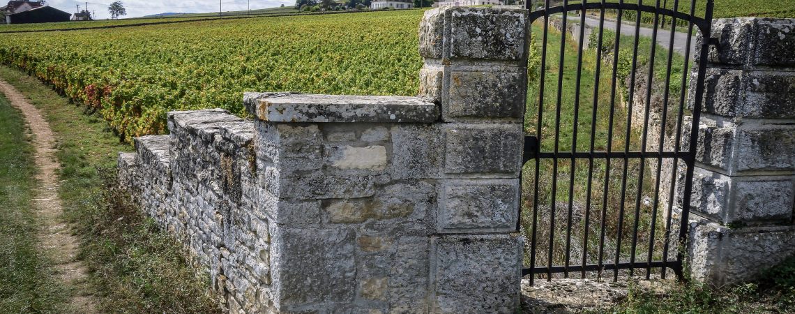 Steinmauer mit eisernem Tor vor einem weitläufigen Weinberg.