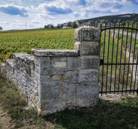 Steinmauer mit eisernem Tor vor einem weitläufigen Weinberg.