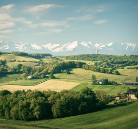 Landschaft mit grünen Hügeln, schneebedeckten Bergen und blauem Himmel im Hintergrund.