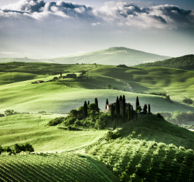 Hügelige, grüne Landschaft mit Zypressenhain und abgelegenem Gehöft im Morgenlicht.