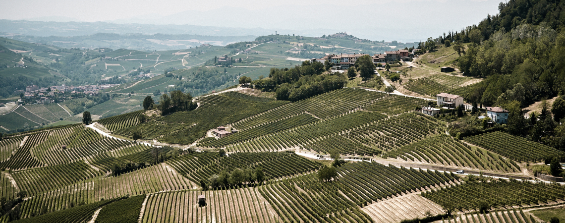 Hügelige Landschaft mit ausgedehnten Weinbergen und einigen verstreuten Häusern an Hängen.