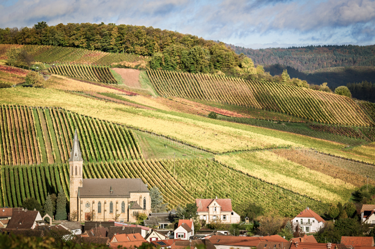 Kirche in malerischer Hügellandschaft mit bunten Weinbergen und Wäldern.