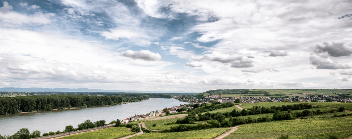 Weinberge überblicken Flusslandschaft bei teils bewölktem Himmel.