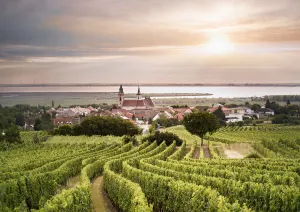 Weinberge im Vordergrund, Dorf und See unter dramatischem Sonnenuntergang.