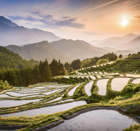 Stufenförmige Reisfelder bei Sonnenuntergang, umgeben von bewaldeten Hügeln und Bergen.