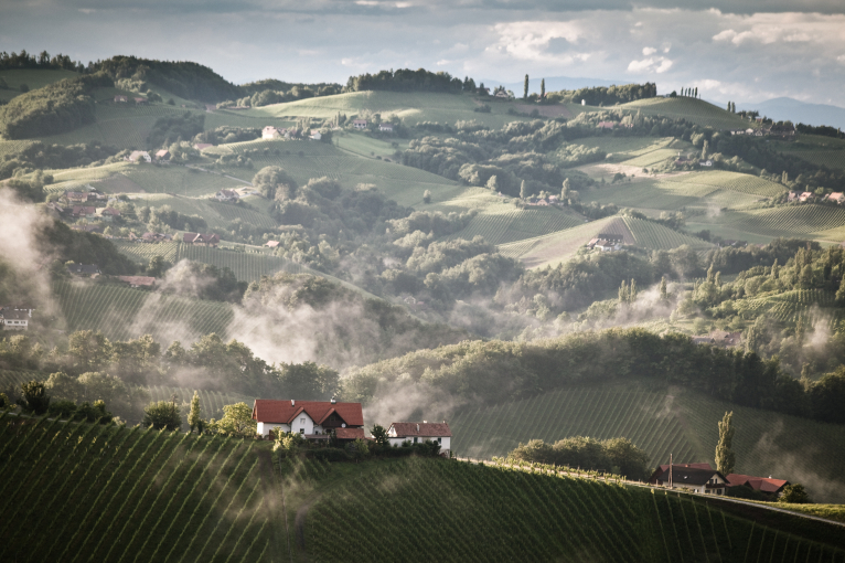 Häuser in nebliger, hügeliger Landschaft mit Weinbergen und bewölktem Himmel.