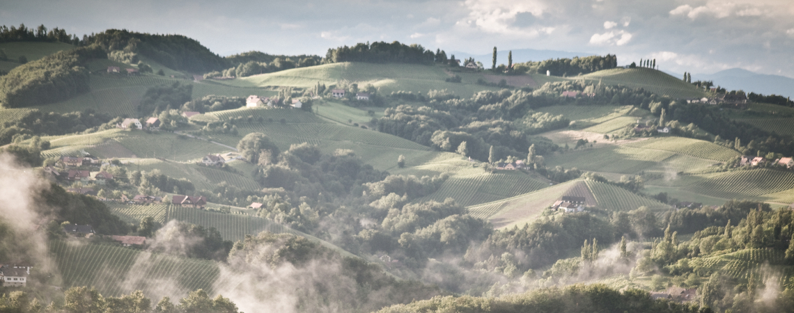 Häuser in nebliger, hügeliger Landschaft mit Weinbergen und bewölktem Himmel.