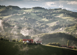 Häuser in nebliger, hügeliger Landschaft mit Weinbergen und bewölktem Himmel.