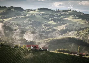 Häuser in nebliger, hügeliger Landschaft mit Weinbergen und bewölktem Himmel.