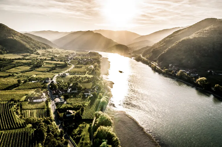 Flusslandschaft im Sonnenuntergang mit Weinbergen und sanften Hügeln.