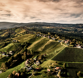Hügelige Landschaft mit Weinbergen, kleinen Häusern und bewaldeten Bereichen unter blauem Himmel.