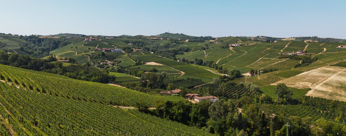 Weinberge und sanfte Hügel unter klarem Himmel in einer idyllischen Landschaft.
