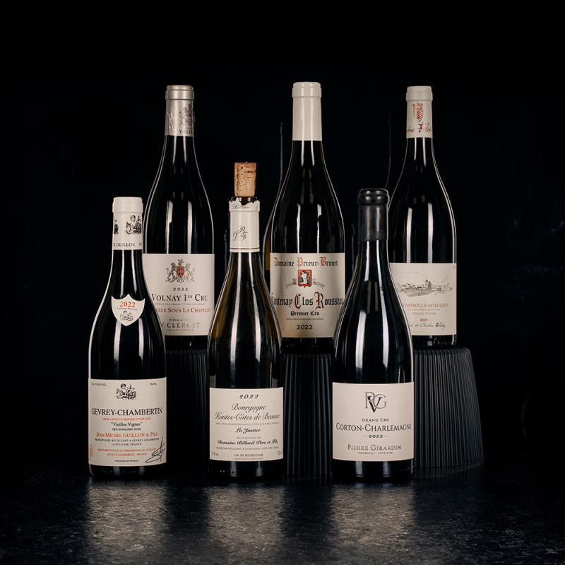 Burgund 2022 fine wine flaschen