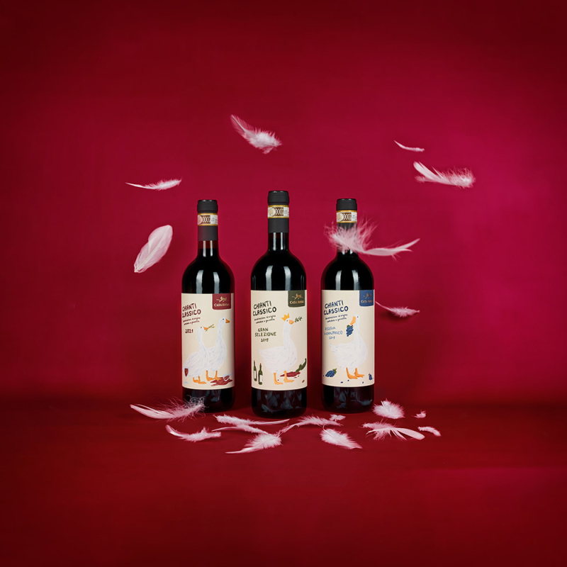 Casa Emma Produktfotos