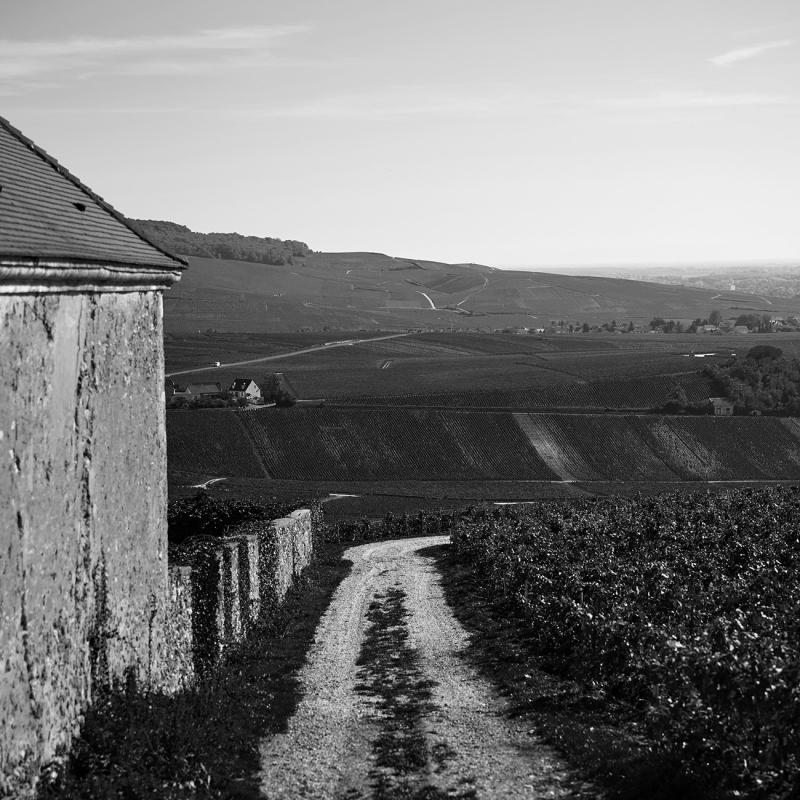 Champagne Hautvillers 2022