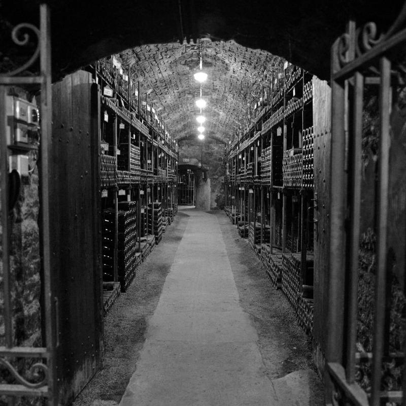 Fine Wine Burgund Bouchard