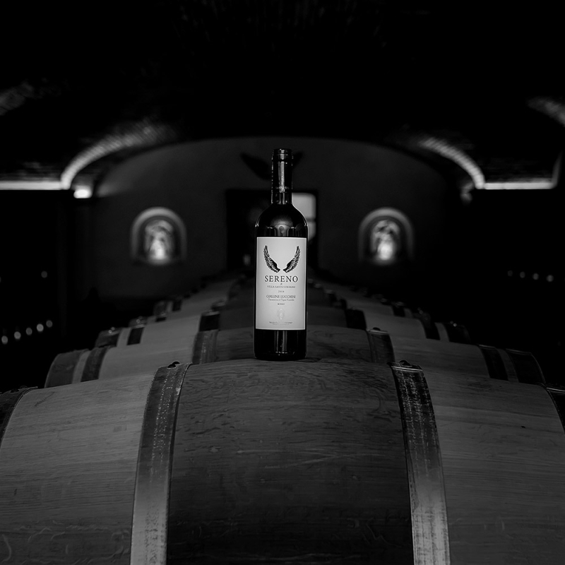 Fine Wine santo stefanoph Massimo Tessandori Bernini V BASE MG 3851