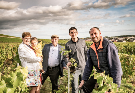 Familie steht lächelnd in einem grünen Weinberg unter bewölktem Himmel.