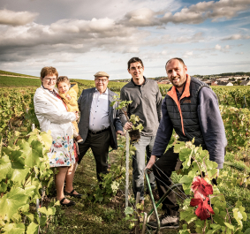Familie steht lächelnd in einem grünen Weinberg unter bewölktem Himmel.