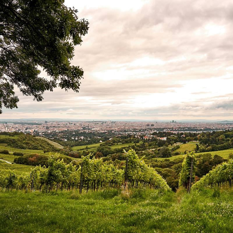 Nussberg Mayer am pfarrplatz