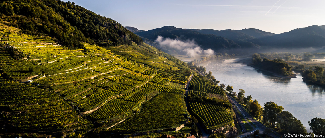Terrassierte Weinberge neben einem Fluss in einer hügeligen, nebeligen Landschaft.