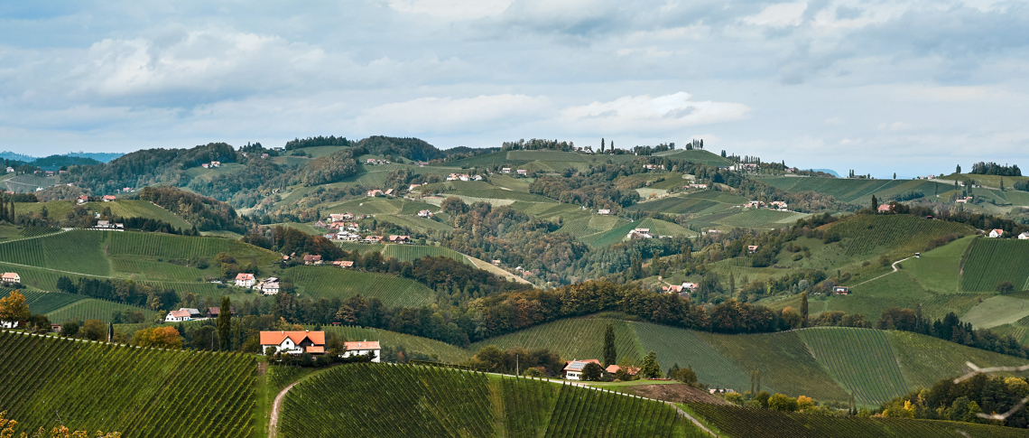 Hügelige Landschaft mit Weinbergen und vereinzelten Häusern unter bewölktem Himmel.