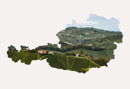 Silhouette Österreichs mit Weinbergen und sanften Hügeln gefüllt.