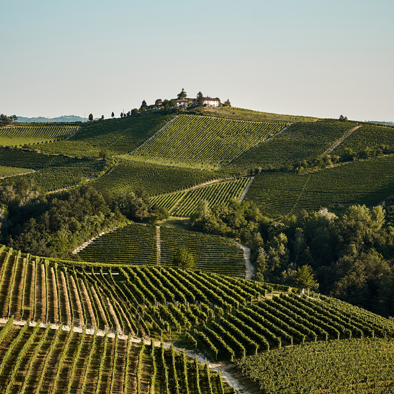 Piemont Barbaresco november 2022
