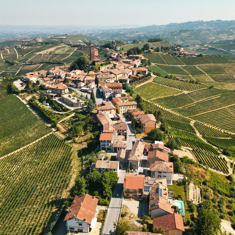 Piemont Massolino november 2022