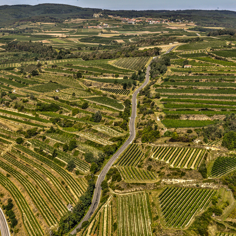 Ried Loiserberg teaser