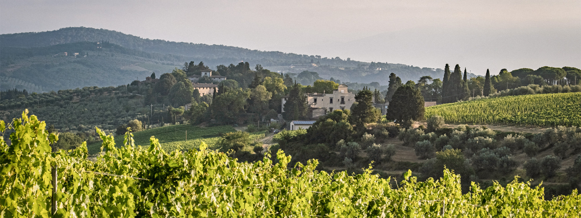 Hügelige Landschaft mit Weinbergen und Zypressen, im Hintergrund ein landschaftliches Anwesen.