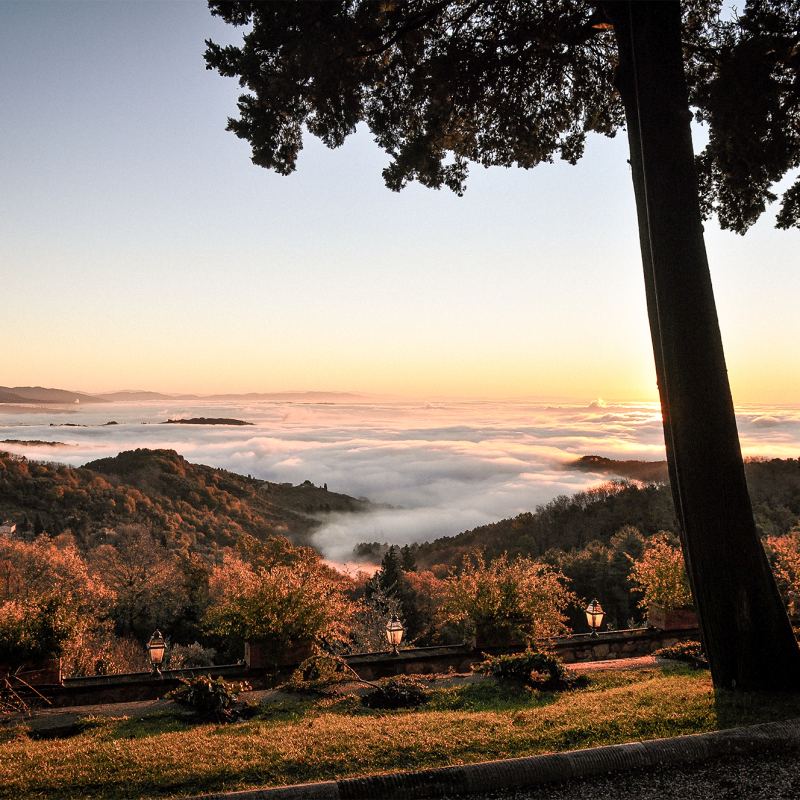 Sangiovese Villa Santo Stefano