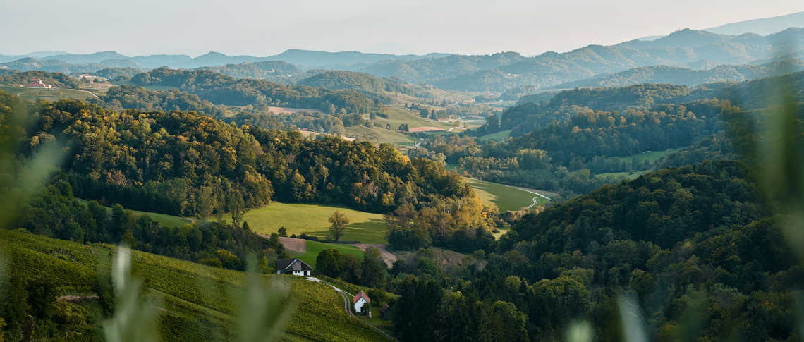 Malerische Hügellandschaft mit dichten Wäldern und verstreuten Häusern im Sonnenlicht.