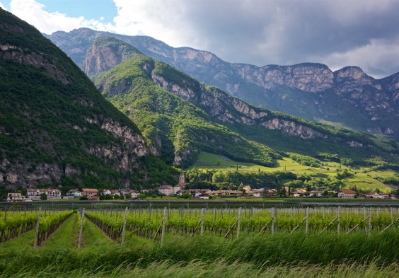 Suedtirol Magreid 2 (c)John McDermott