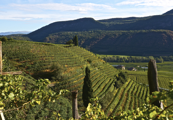 Suedtirol Roemigberg (c)Gianni Bodini