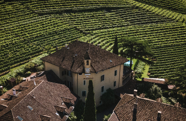 Historisches Gebäude umgeben von malerischen Weinbergen im Sonnenlicht.