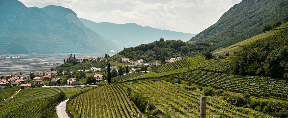 Sanfte Hügel mit grünen Weinbergen und einem Dorf im Hintergrund, umrahmt von Bergen.
