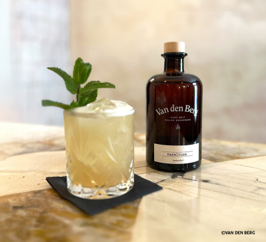 Braune Flasche neben Glas mit grünem Getränk und Minzblättern auf Marmortisch.