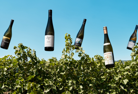 Fünf Weinflaschen schweben über einem sonnigen Weinberg vor blauem Himmel.