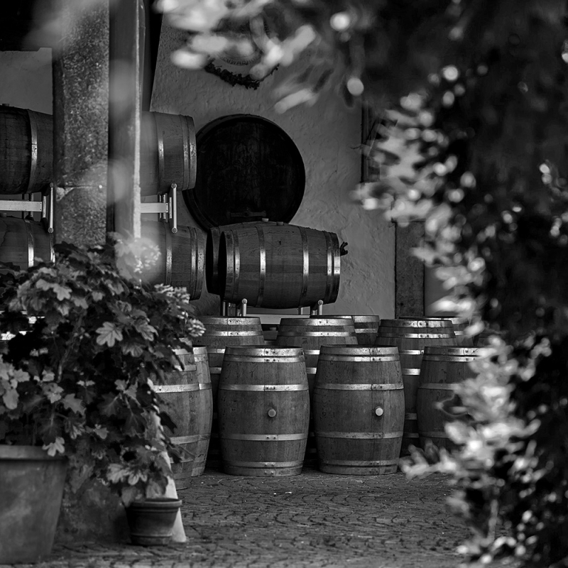 biodynamie fine wine mai 2024 lageder