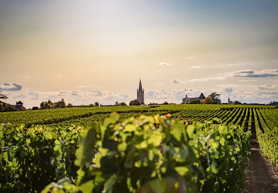 bordeaux2