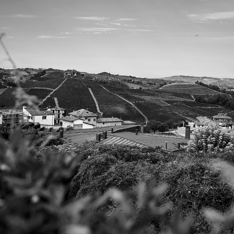 brunello fine wine 2024