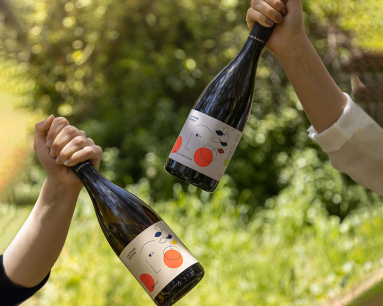 Zwei Hände halten dekorative Weinflaschen mit modernem Etikett vor grünem Hintergrund.