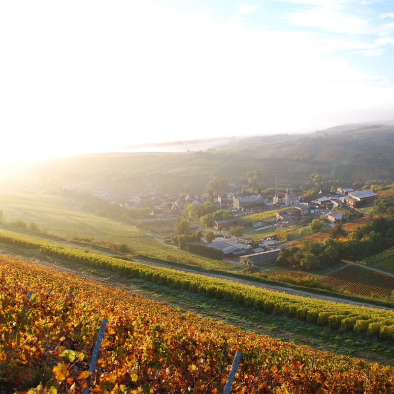centre loire henri bourgeois
