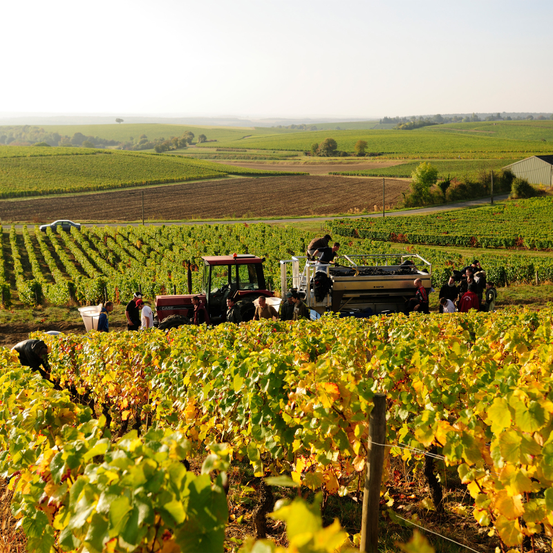 centre loire la perriere