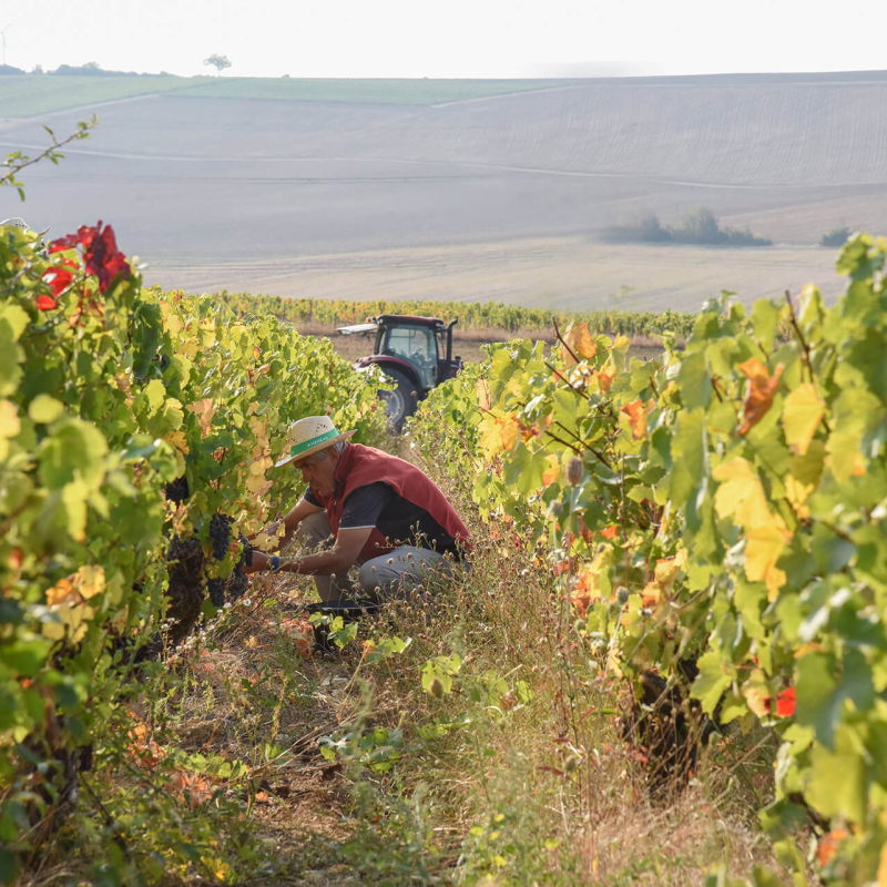 centre loire villargeau