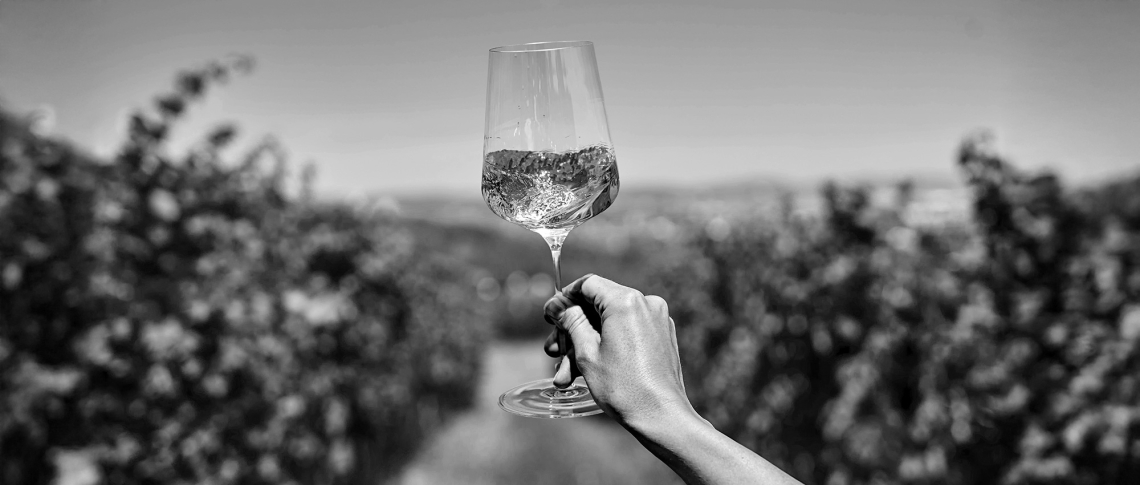 Hand hält Weinglas vor unscharfem Weinhintergrund in Schwarz-Weiß.