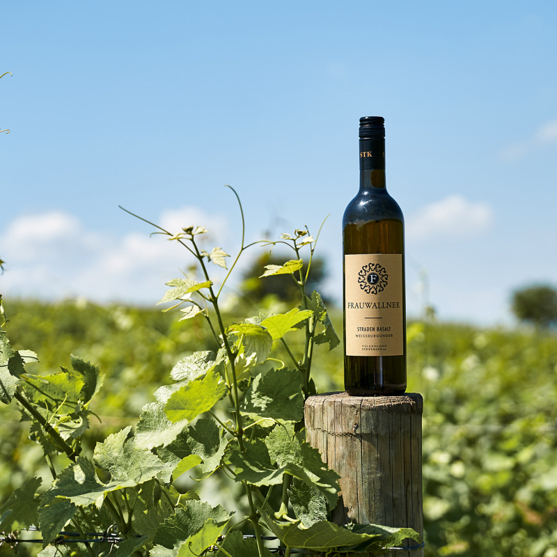 frauwallner straden orstwein