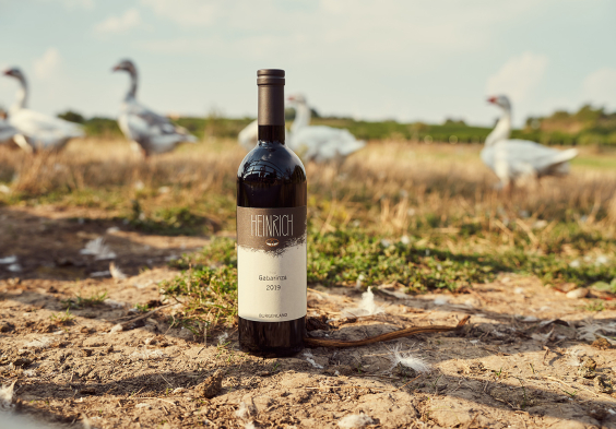 gaense Gernot Heinrich 62059604