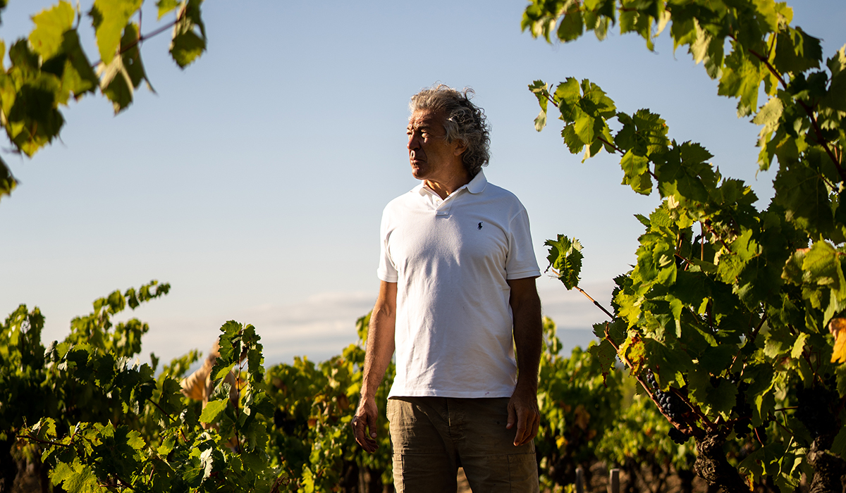 gerard bertrand interview